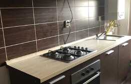 Apartament 1 camera, 40 mp, decomandat, garaj, imobil nou, zona USAMV