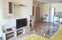 Apartament 2 camere, 60 mp, mobilat modern, zona Platinia