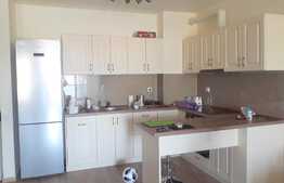 Apartament 2 camere, 60 mp, mobilat modern, zona Platinia