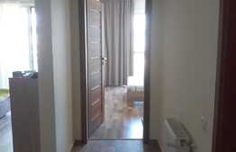 Apartament 2 camere, 60 mp, mobilat modern, zona Platinia