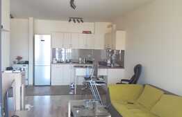 Apartament 2 camere, 60 mp, mobilat modern, zona Platinia