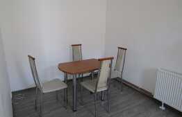 Apartament 1 camera,  57 mp, prima inchiriere, zona Facultatea de Litere