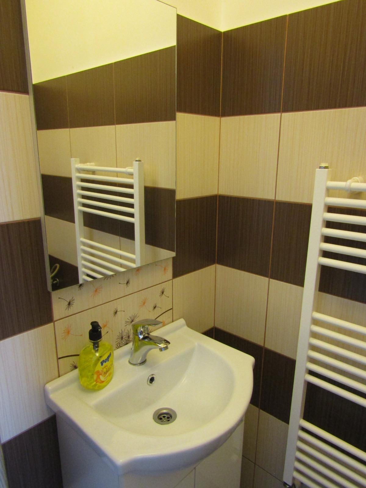 Garsonieră de închiriat Central - 33642AI | BLITZ Cluj-Napoca | Poza5