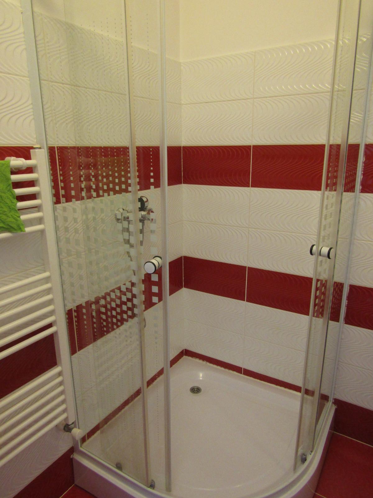 Garsonieră de închiriat Central - 33642AI | BLITZ Cluj-Napoca | Poza8