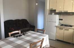 Apartament 2 camere, 43 mp, prima inchiriere, imobil nou, parcare, zona Donath Park