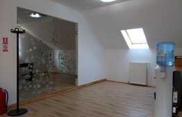 Spatiu birouri, 130 mp, zona strazii Hasdeu