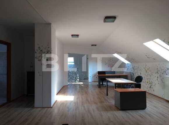 Spațiu birouri de închiriat Zorilor - 33657SIB | BLITZ Cluj-Napoca | Poza1