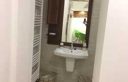 Apartament 1 camera, 50 mp, decomandat, mobilat modern, zona USAMV