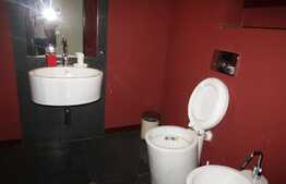 Apartament cu 2 camere, 82 mp, mobilat lux, zona strazii Plopilor