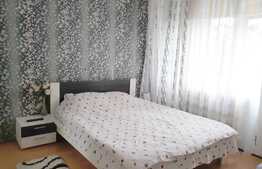 Apartament 2 camere, 55 mp, decomandat, zona strazii Parang