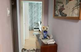 Apartament 2 camere, 55 mp, decomandat, zona strazii Parang