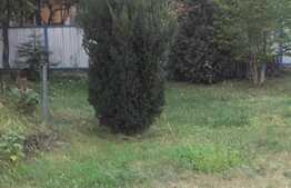 Casa individuala, 150 mp, 457 mp teren, zona exclusivista de case in cartierul Gheorgheni!