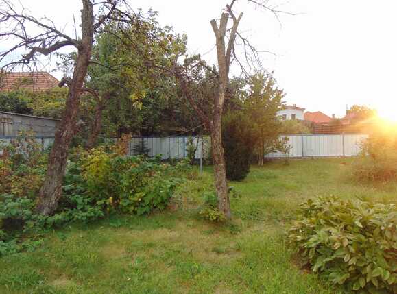 Casa de vânzare 4 camere Gheorgheni - 33727CV | BLITZ Cluj-Napoca | Poza3