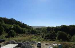 De vanzare casa individuala 250 mp utili, 985 mp teren, front 23 ml, zona linistita!