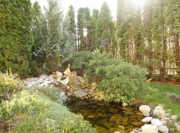 Casa de vânzare 4 camere Europa - 33743CV | BLITZ Cluj-Napoca | Poza4