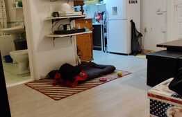 Apartament 3 camere, 61 mp, zona strazii Mircea Eliade