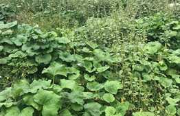 Casa de vanzare 150 mp, teren de 543 mp, zona accesibila