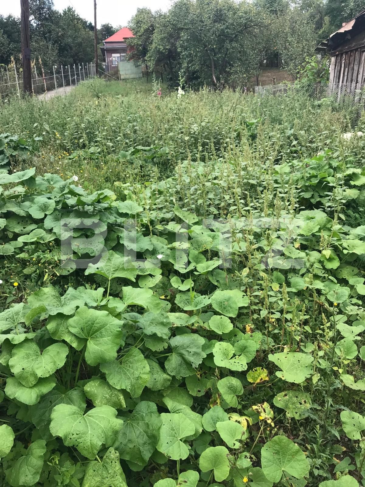 Casa de vânzare 4 camere Dambul Rotund - 33760CV | BLITZ Cluj-Napoca | Poza13