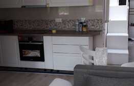 Apartament 3 camere, 60 mp, lux, zona USAMV