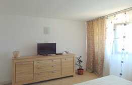 Oportunitate! Casa individuala, 240 mp, teren 2000 mp, zona Caianu Vama