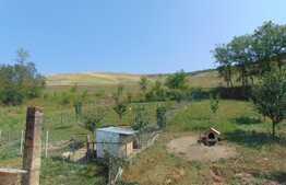 Oportunitate! Casa individuala, 240 mp, teren 2000 mp, zona Caianu Vama