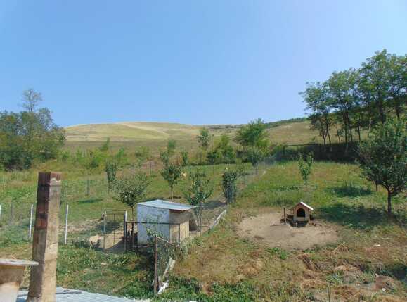 Casa de vânzare 5 camere Exterior Est - 33777CV | BLITZ Cluj-Napoca | Poza13