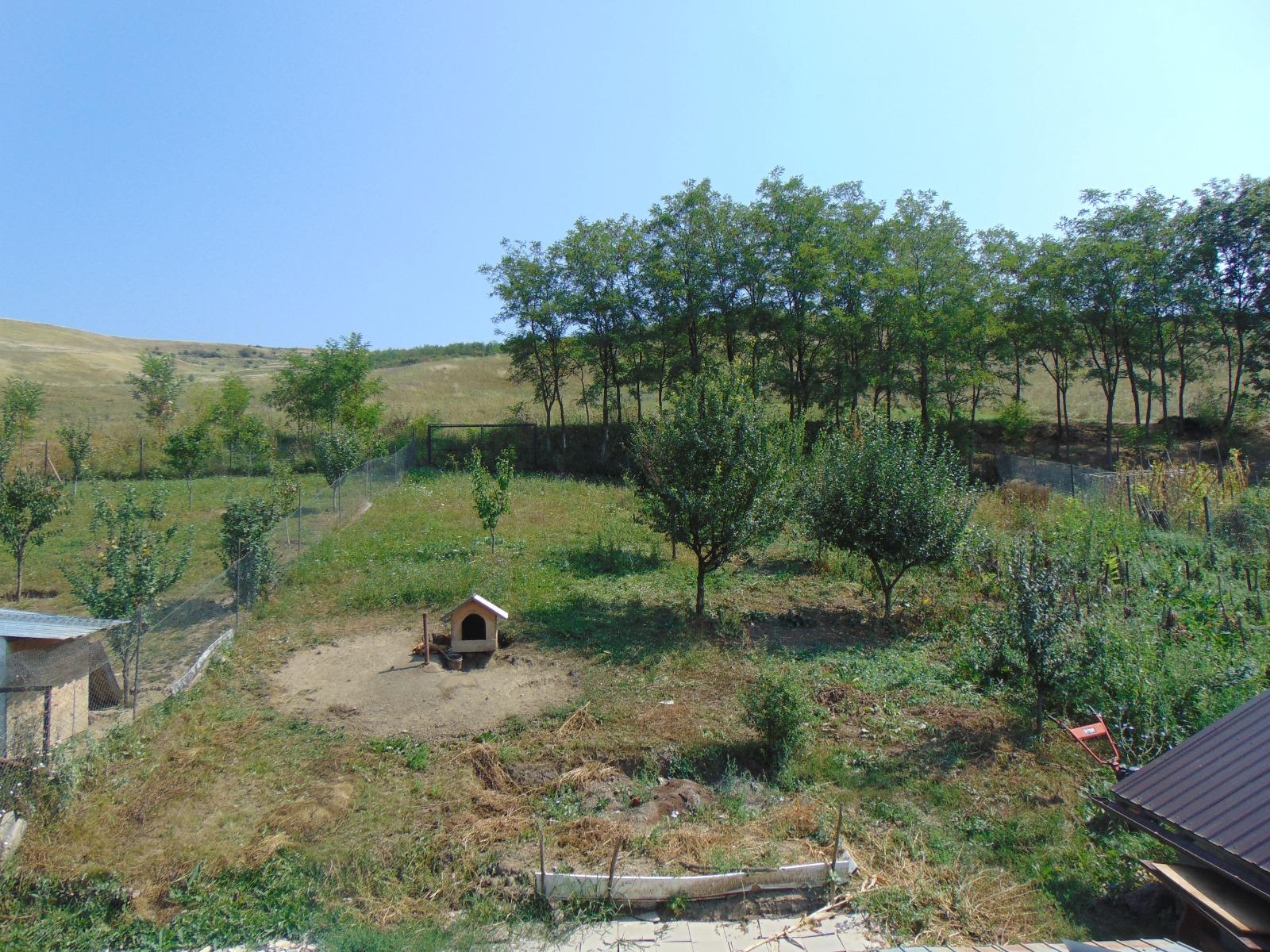 Casa de vânzare 5 camere Exterior Est - 33777CV | BLITZ Cluj-Napoca | Poza12