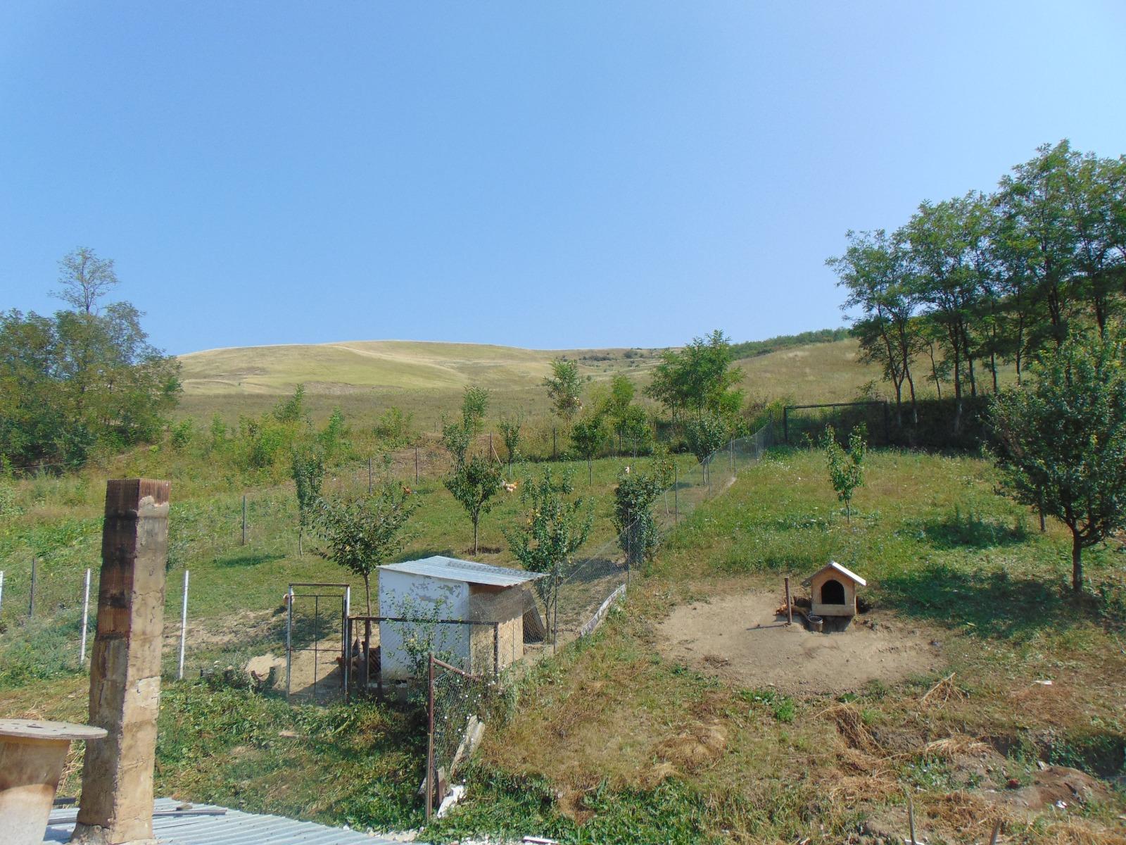 Casa de vânzare 5 camere Exterior Est - 33777CV | BLITZ Cluj-Napoca | Poza13