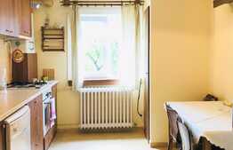 3 camere, decomandate, 65 mp, mobilat modern, garaj, zona strazii Ialomitei