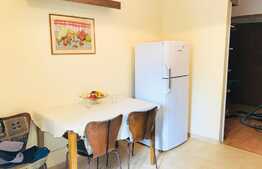 3 camere, decomandate, 65 mp, mobilat modern, garaj, zona strazii Ialomitei