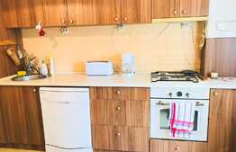 3 camere, decomandate, 65 mp, mobilat modern, garaj, zona strazii Ialomitei