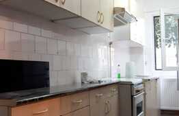 Apartament 2 camere, 40 mp, recent renovat, zona Profi
