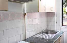 Apartament 2 camere, 40 mp, recent renovat, zona Profi