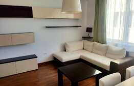 Apartament 2 camere, semidecomandat, 55 mp, prima inchiriere, zona strazii Meteor