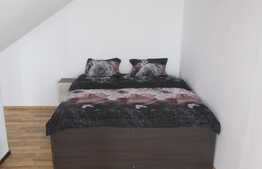 3 camere, imobil de tip casa, 2 terase, 2 parcari, gradina 58 mp, pod amenajat! Zona strazii Corneliu Coposu