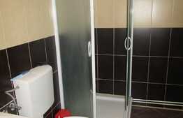 Apartament 1 camera, 50 mp, ultracentral, zona Centrului Comercial Central