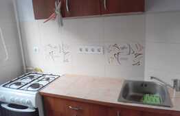 Garsoniera 25 mp, prima inchiriere, zona strazii Luis Pasteur