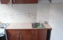 Garsoniera 25 mp, prima inchiriere, zona strazii Luis Pasteur