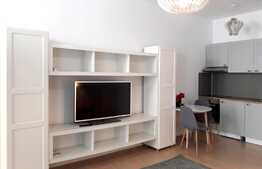 Garsoniera, 30 mp, mobilata lux, parcare, petfriendly, ultracentral!