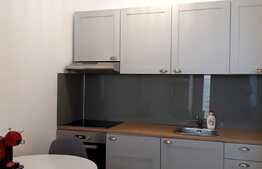 Garsoniera, 30 mp, mobilata lux, parcare, petfriendly, ultracentral!