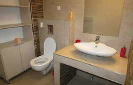 Apartament spatios, 2 camere, finisat modern! Zona strazii Florilor!!