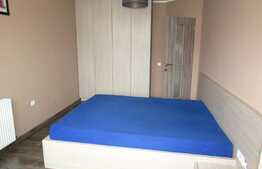 Apartament spatios, 2 camere, finisat modern! Zona strazii Florilor!!