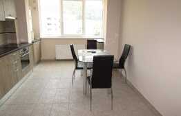 Apartament spatios, 2 camere, finisat modern! Zona strazii Florilor!!