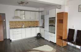 Apartament 2 camere, 46 mp, garaj, zona strazii Eugen Ionesco