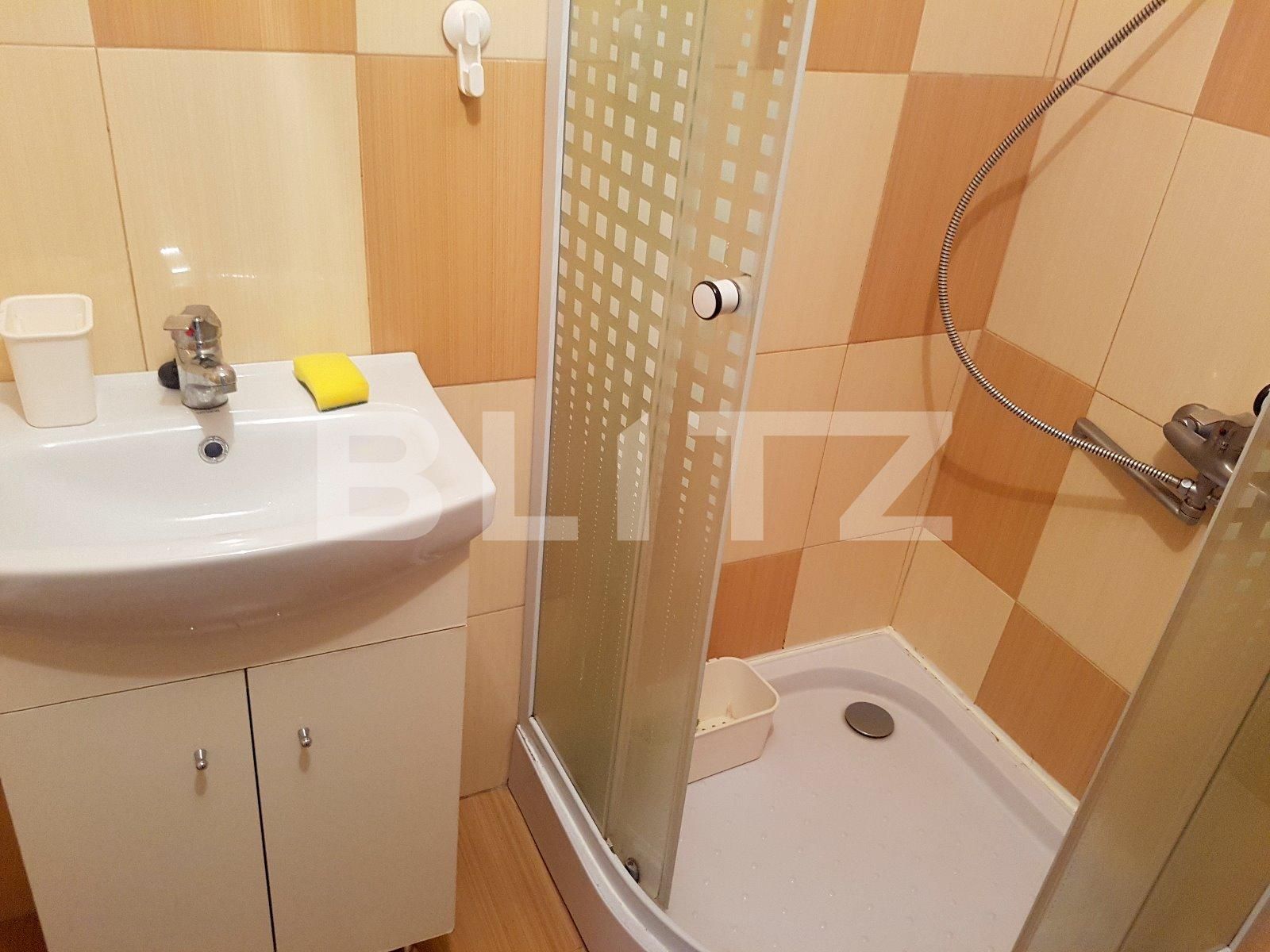 Garsonieră de închiriat Baciu - 33869AI | BLITZ Cluj-Napoca | Poza4