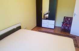 Apartament 2 camere, 55 mp, zona strazii Constatin Brancusi