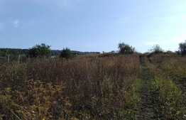 Teren intravilan, 1200 mp, front 15 ml, zona strazii Oasului