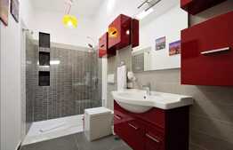 2 camere, 55 mp, modern, A.C., optional parcare, zona Piata Muzeului