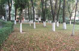 Apartament 2 camere, 53 mp, decomandat, zona Iulius Mall!