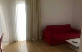 Apartament in vila, 2 camere, 54 mp, gradina 22 mp, la cheie, zona strazii Romul Ladea